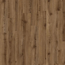 ADELAR Solida - 04870 European Oak
