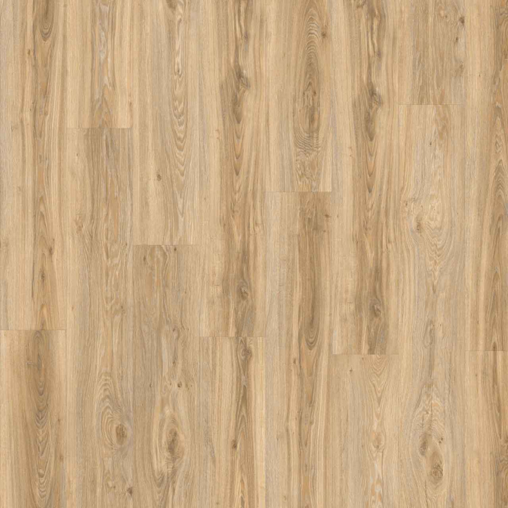 Moduleo Roots 0.55 Blackjack Oak 22220