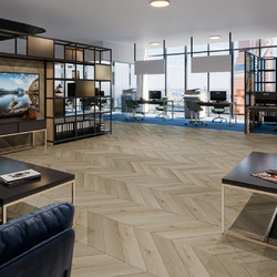 DAMY FLOOR CHEVRON DF01-Ch Версаль