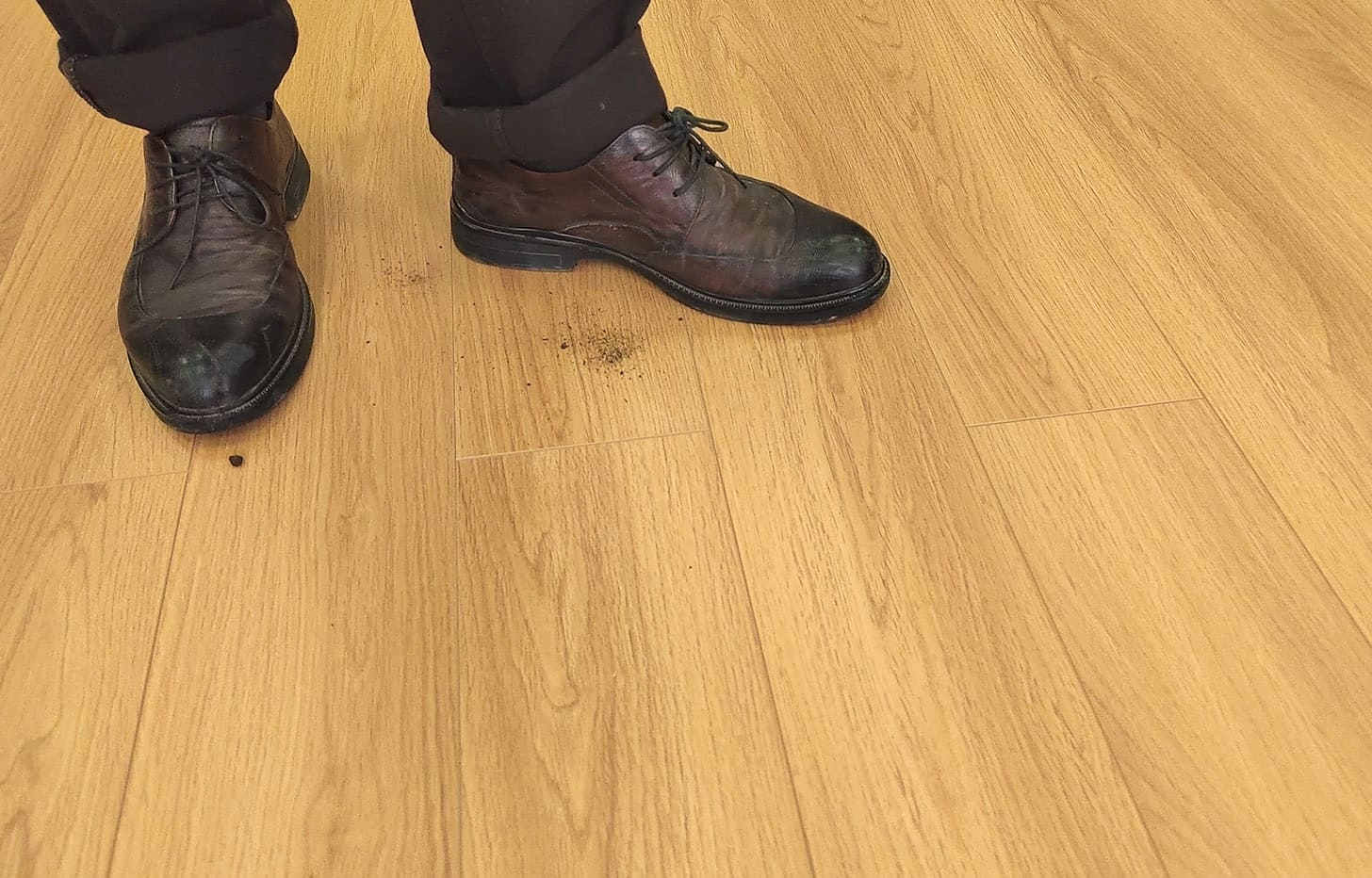 Stone Floor Дуб Харвест