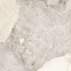 NT Ceramic Infinity Patagonia Classic