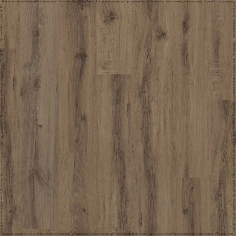 ADELAR Solida Acoustic European Oak 04870