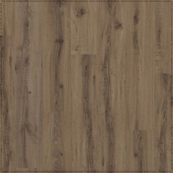 ADELAR Solida Acoustic European Oak 04870