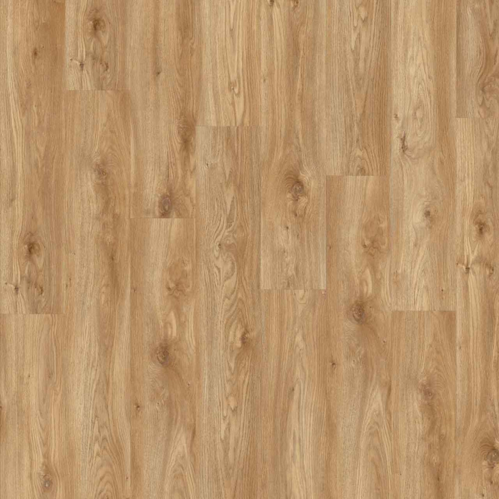 Moduleo Roots 0,55 EIR Sierra Oak 58346