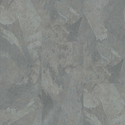 Moduleo Roots 0,55 EIR SMustang Slate 70939
