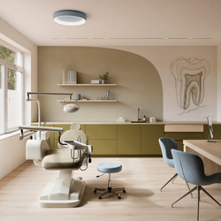 BerryAlloc Spirit Soul 55 Click Planks 60002372 Lara